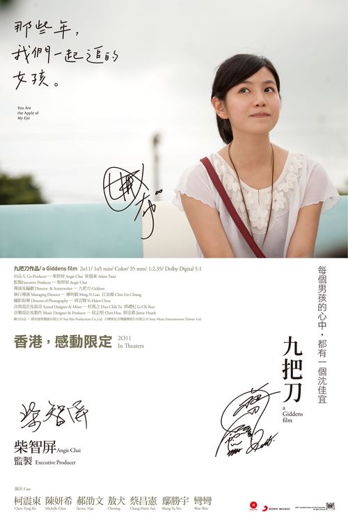瑞典驾驶证哪里能买到